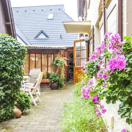 Likedeeler 5 * Zingst